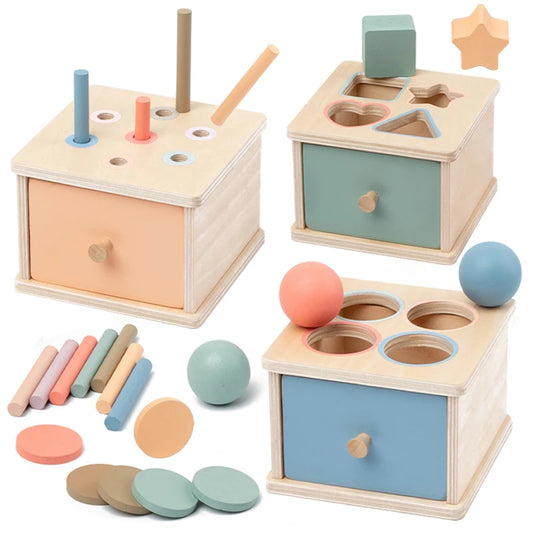 Montessori Farbsortier-Box aus Holz â Motorik- und Lernspielzeug